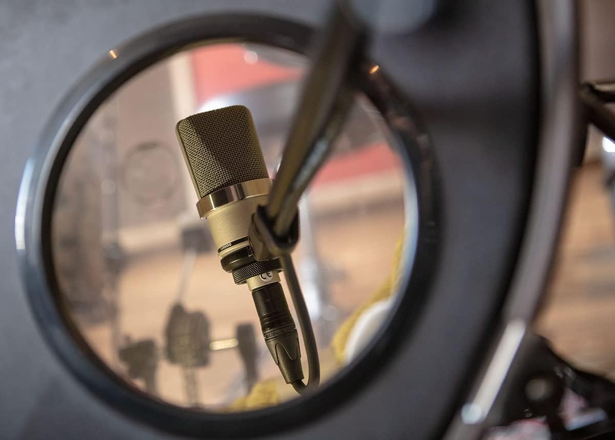 Micros statiques NEUMANN TLM 102 NICKEL Micros large capsule – Image 6