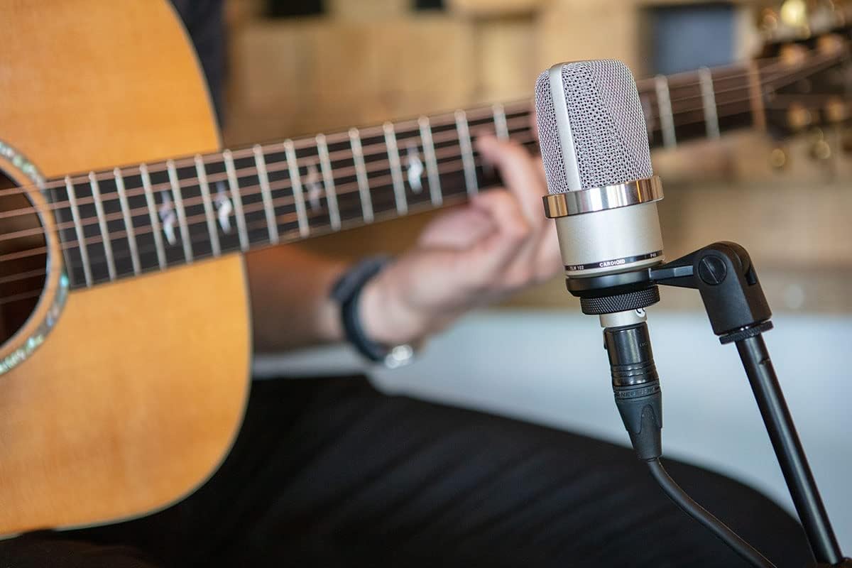 Micros statiques NEUMANN TLM 102 NICKEL Micros large capsule – Image 5