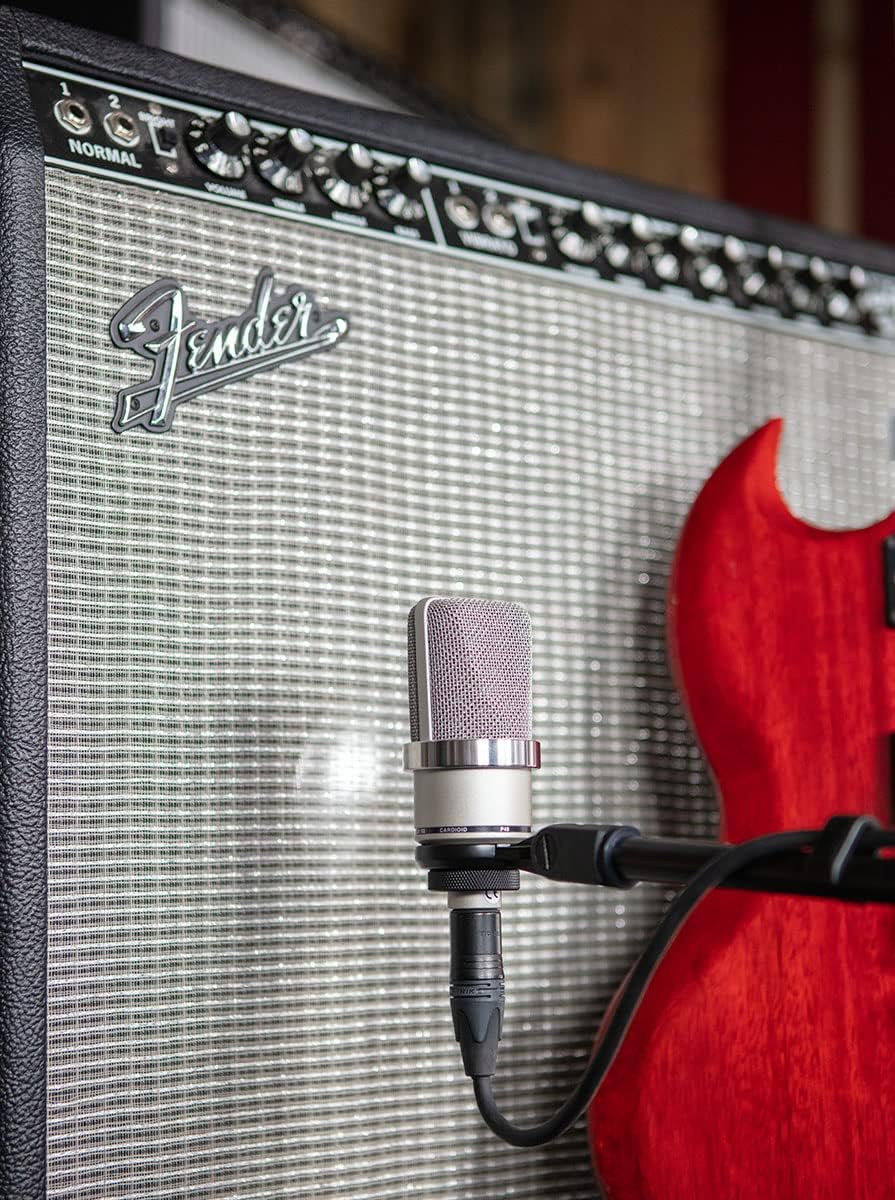 Micros statiques NEUMANN TLM 102 NICKEL Micros large capsule – Image 7